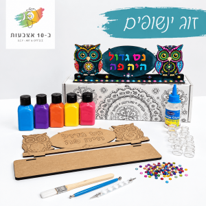 חנוכיית זוג ינשופים -מארז אישי